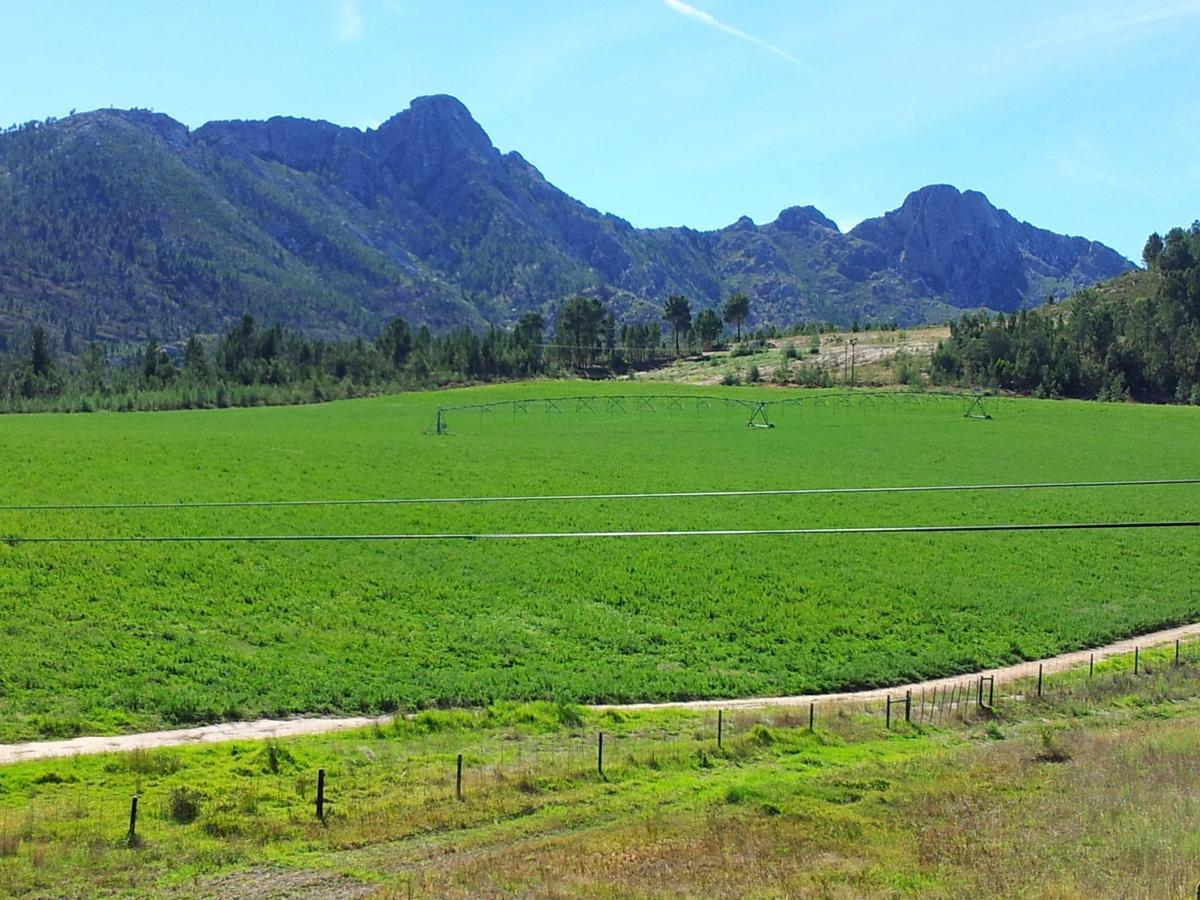 Вилла Kouwdouw Guest Farm Джордж Экстерьер фото